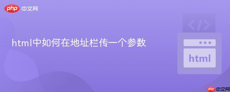 html中如何在地址栏传一个参数